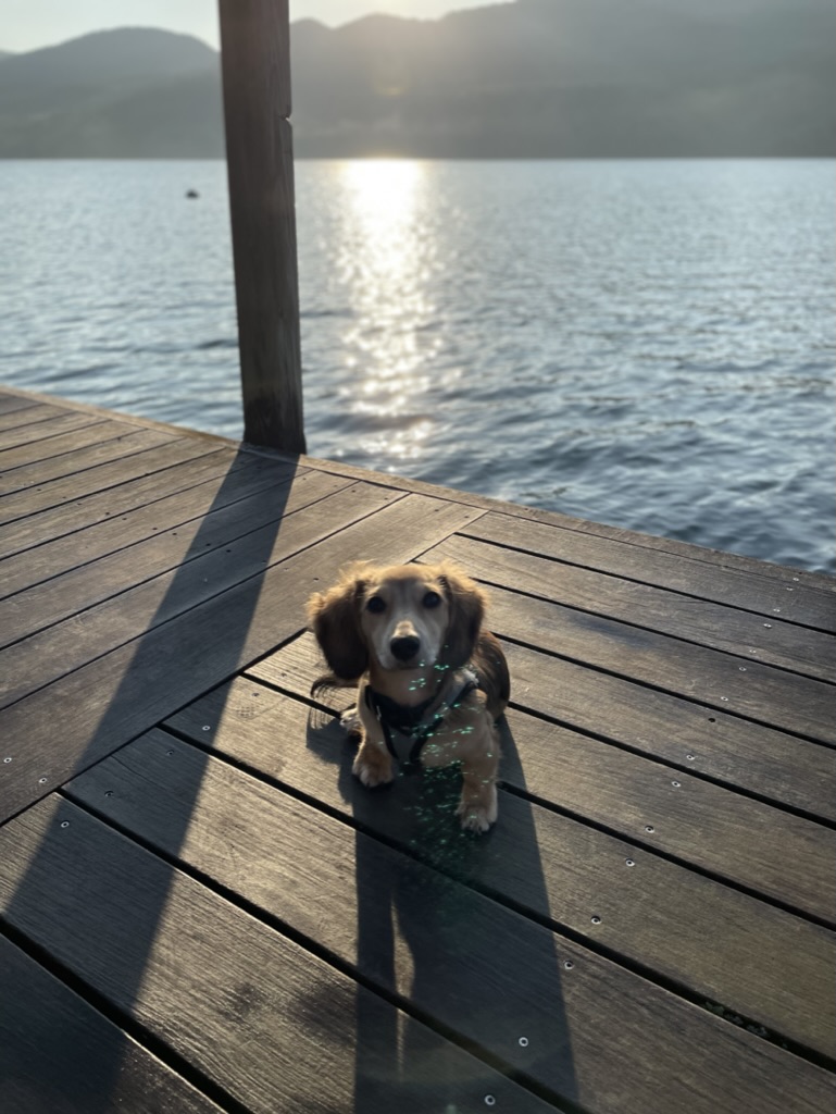 Lake, First Light